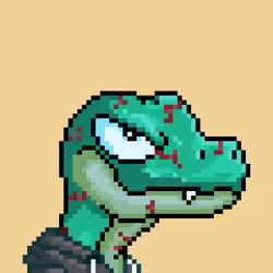 Raptor #9806
