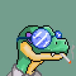 Raptor #2649