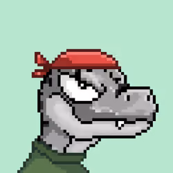 Raptor #2314