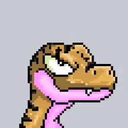 Raptor #1281