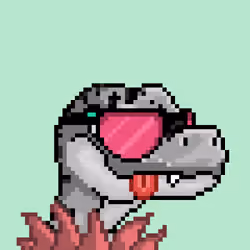 Raptor #9988