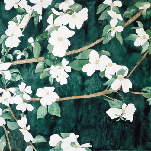 Brooks Gallery Editions