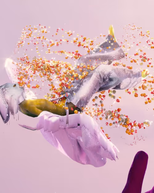 Item #49900030019 Media