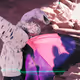 49900020005
