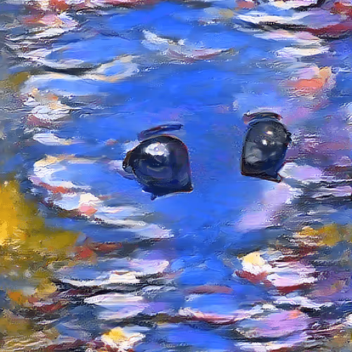 Water Mililys