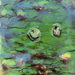 Water Milily #328