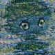 294