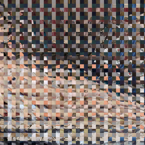 Dataset