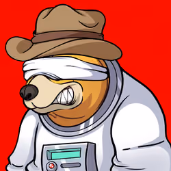 Bear #603
