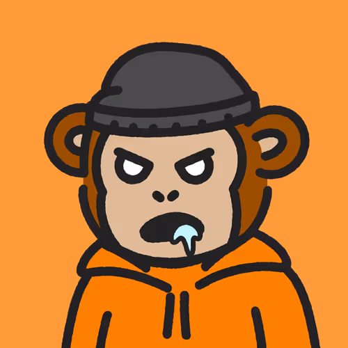 Coolmonkes