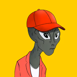 242