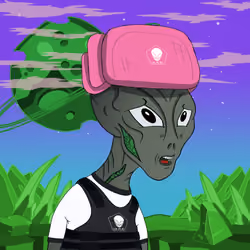 481