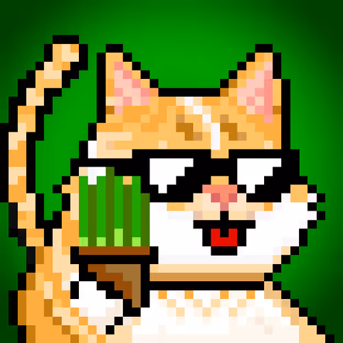 YOLO Cat #343