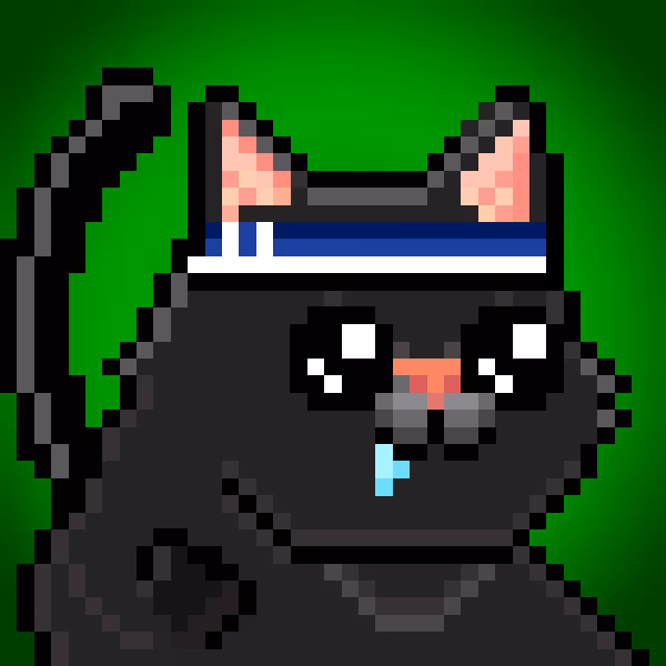YOLO Cat #423
