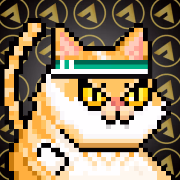 YOLO Cat #428