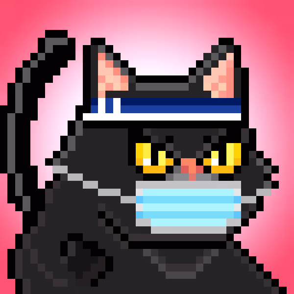 YOLO Cat #408