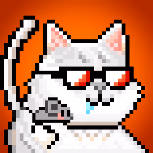 YOLO Cat #41