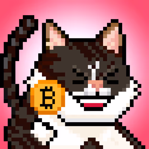 YOLO Cat #245