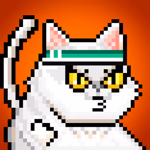 YOLO Cat #37