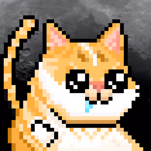 Yolo Cat Club09