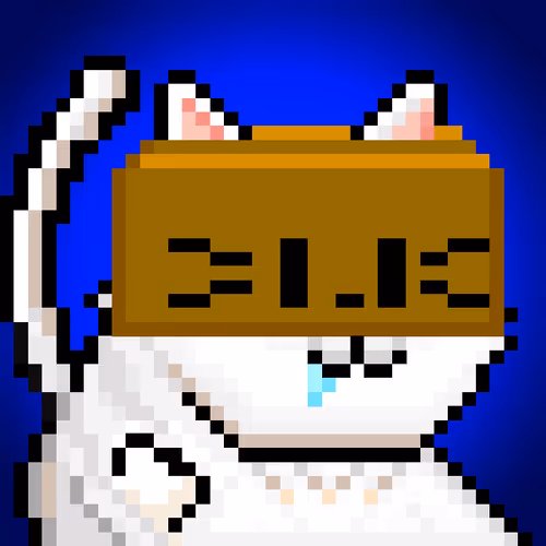 YOLO Cat #224