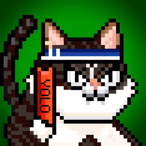 YOLO Cat #336