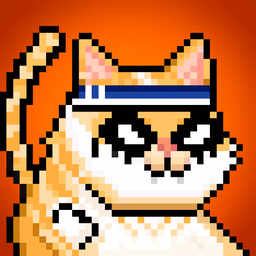 YOLO Cat #146