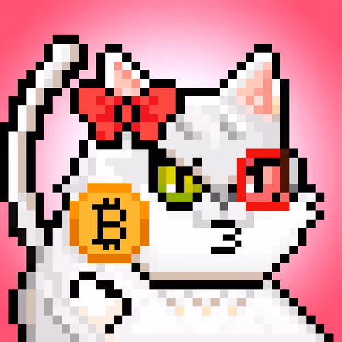 YOLO Cat #123