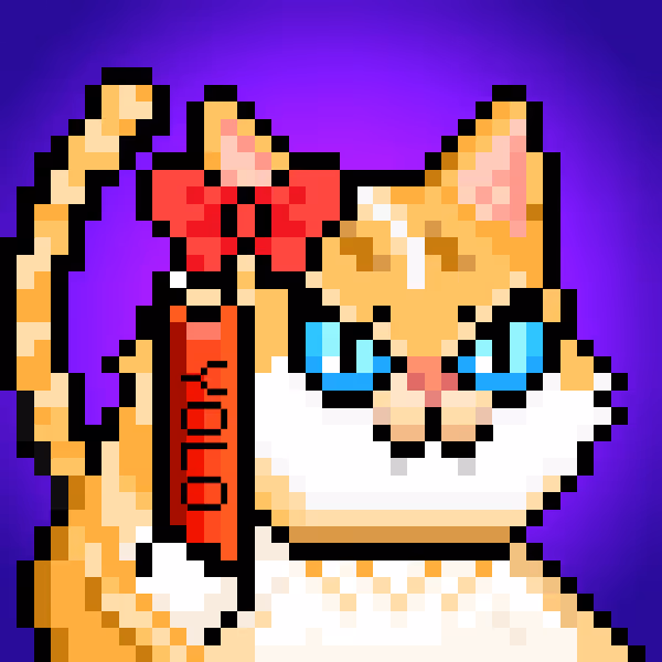 YOLO Cat #429