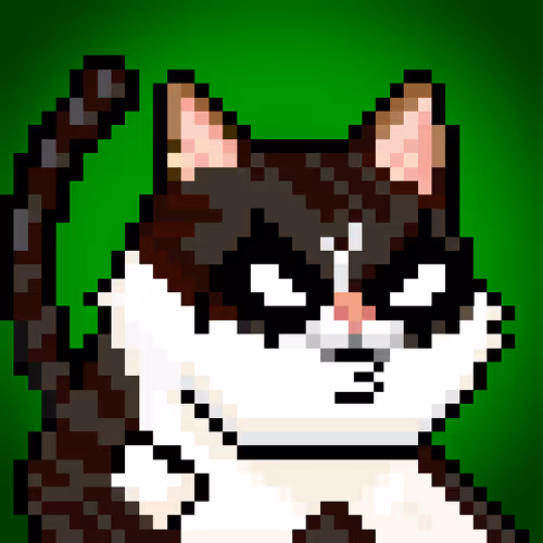 Yolo Cat Club09