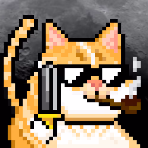 YOLO Cat #69