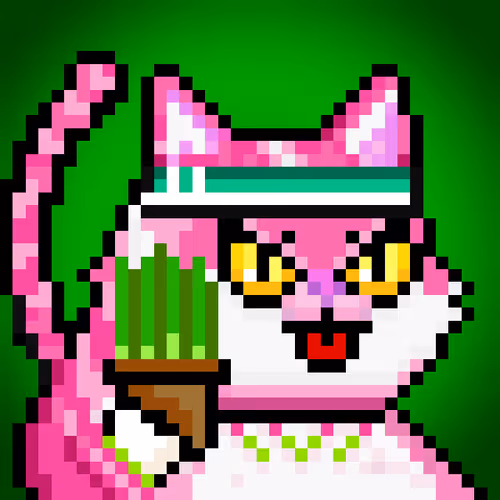 YOLO Cat #82
