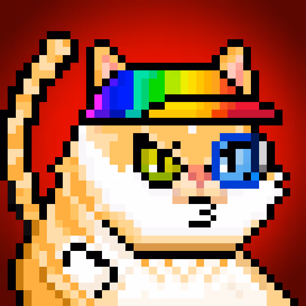 YOLO Cat #431