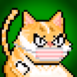 YOLO Cat #301