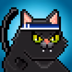 YOLO Cat #81