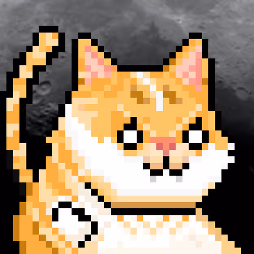 YOLO Cat #318