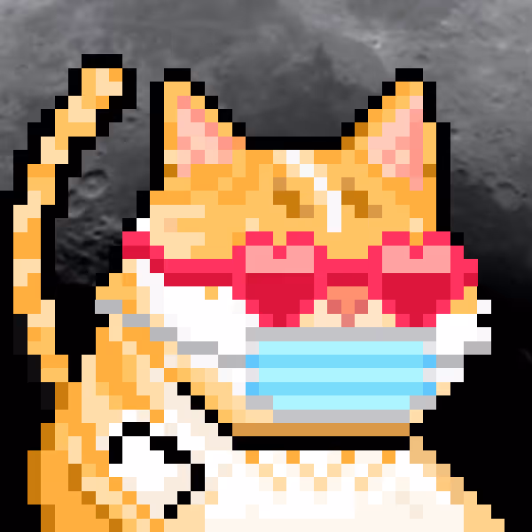 YOLO Cat #418