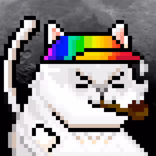 Yolo Cat Club09