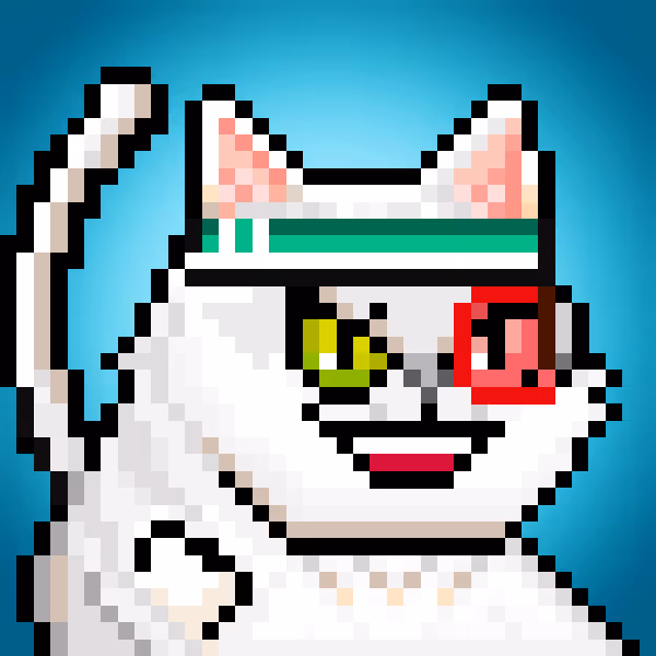 YOLO Cat #435