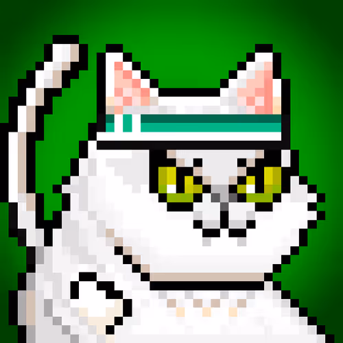 Yolo Cat Club09