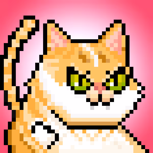 YOLO Cat #427