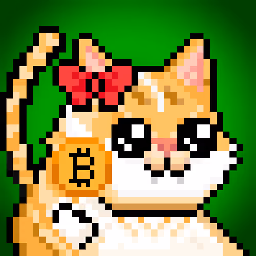 YOLO Cat #70