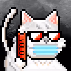 YOLO Cat #283