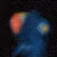 273