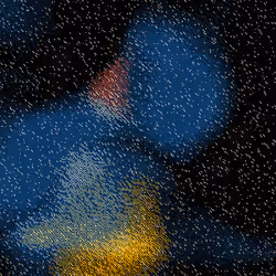 The Void #227