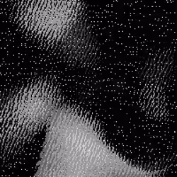 The Void #88