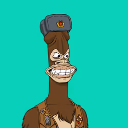 537