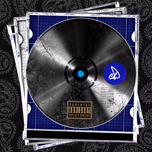 DiSC #22