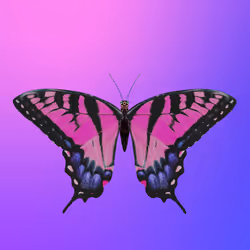 353
