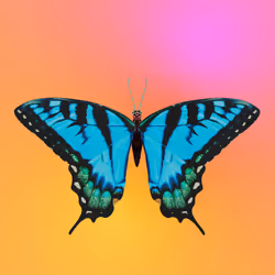 735